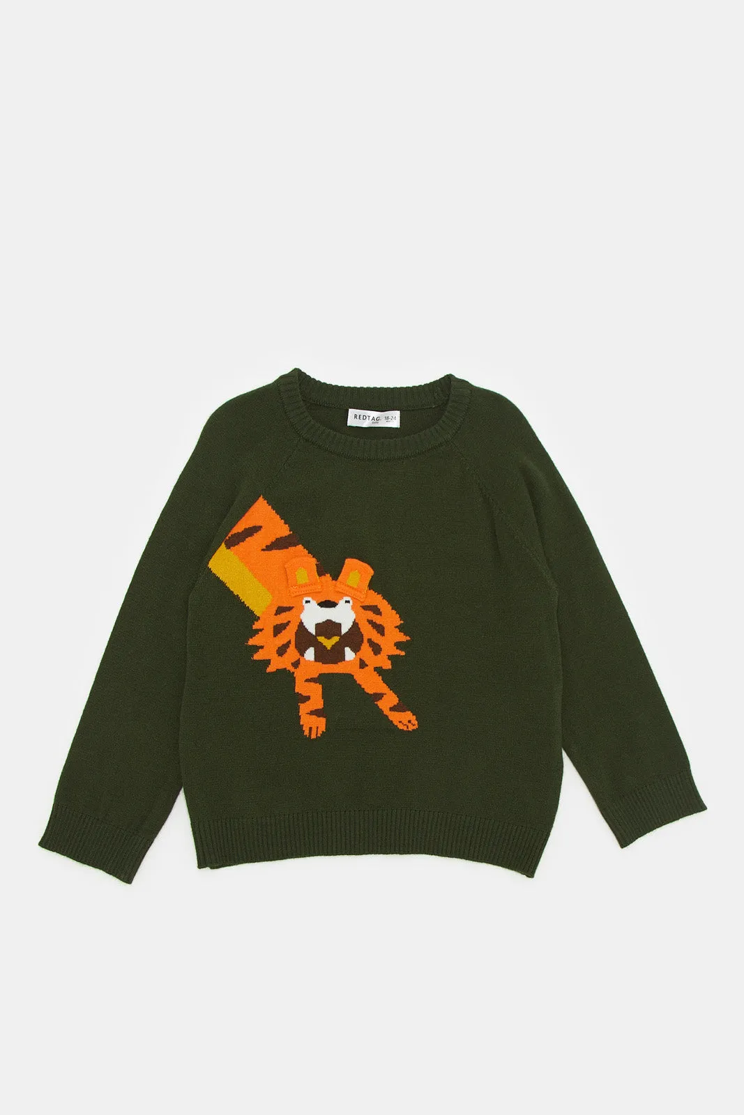 Infant Boys Green Lion Crew Pullover