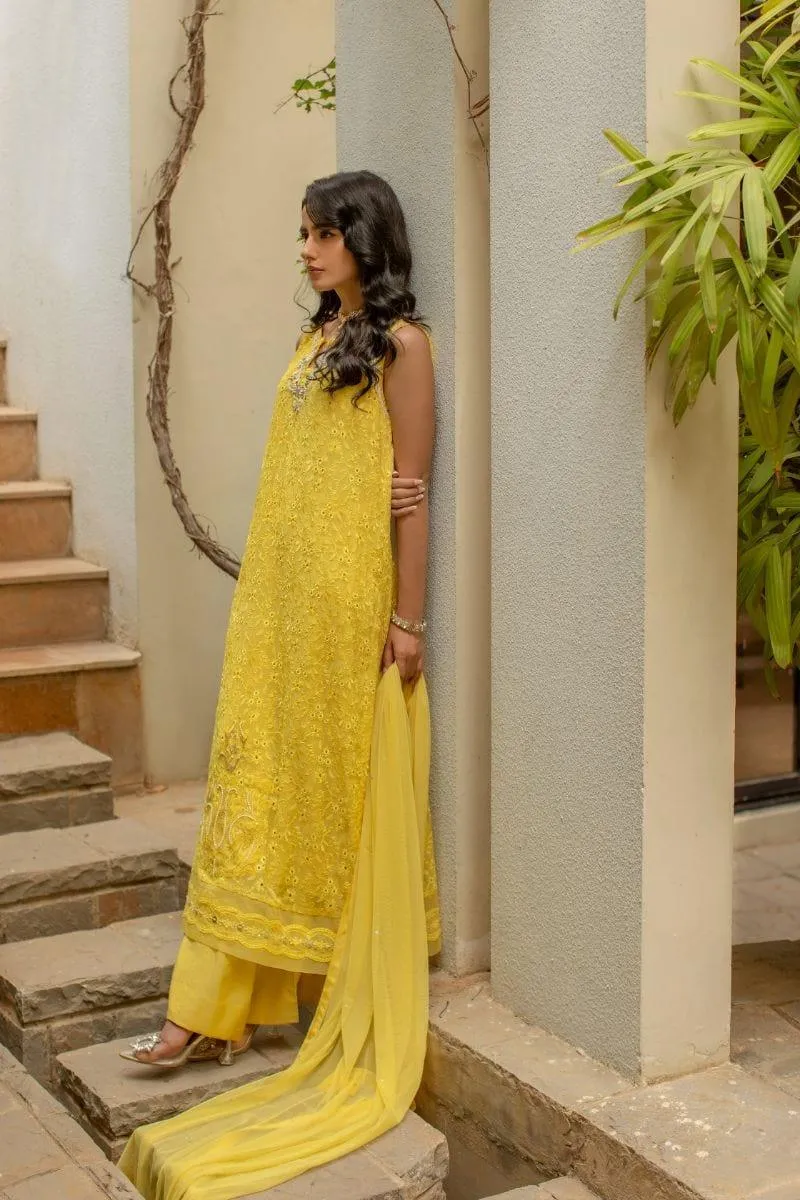 Insia Sohail - Golden Yellow - 3 Piece - Chiffon