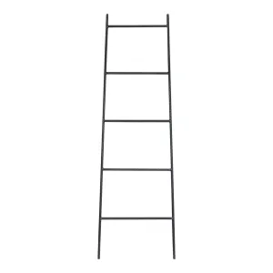 Iron Decorative Ladder