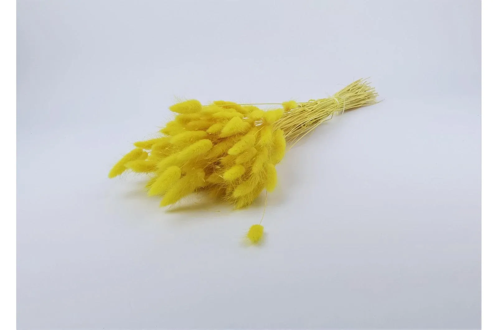 Italian Yellow Lagurus Bouquet