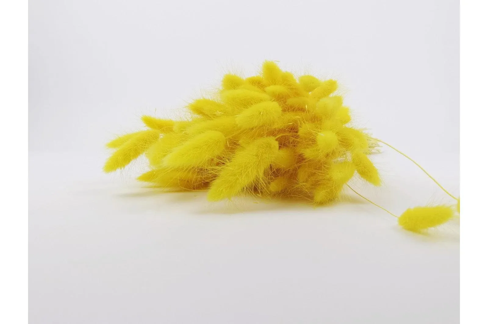 Italian Yellow Lagurus Bouquet