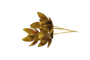 Italian Yellow Lily Flower Bouquet