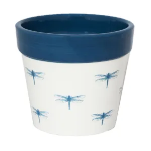 Ivyline 10cm Blue Cacti Dragonfly Planter