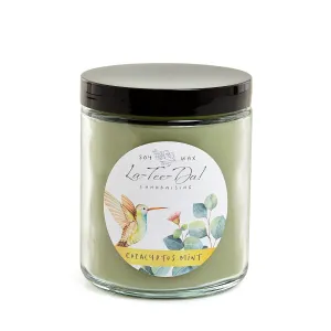 Jar Candle - Eucalyptus Mint