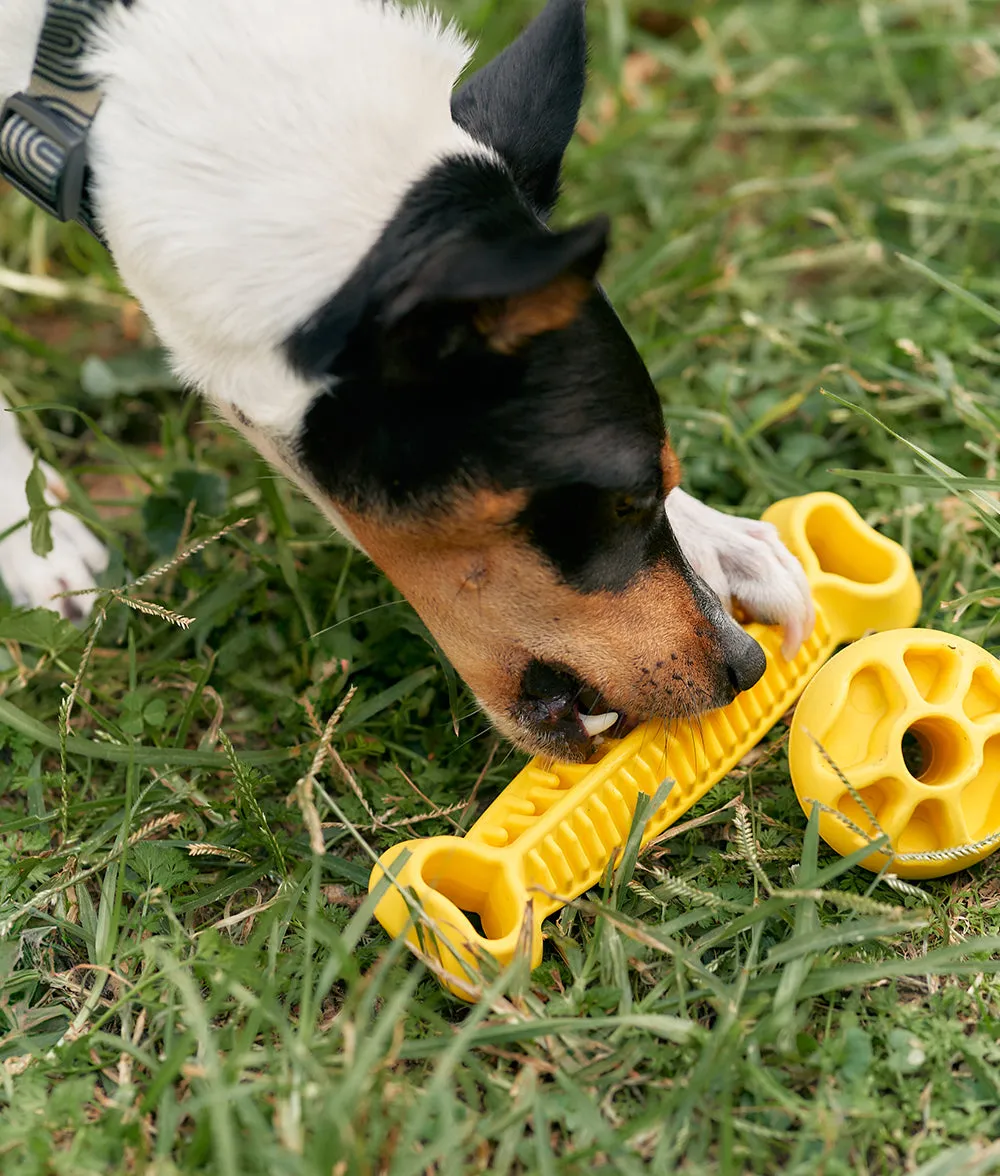 Juguete Perro Amarillo, Rolo