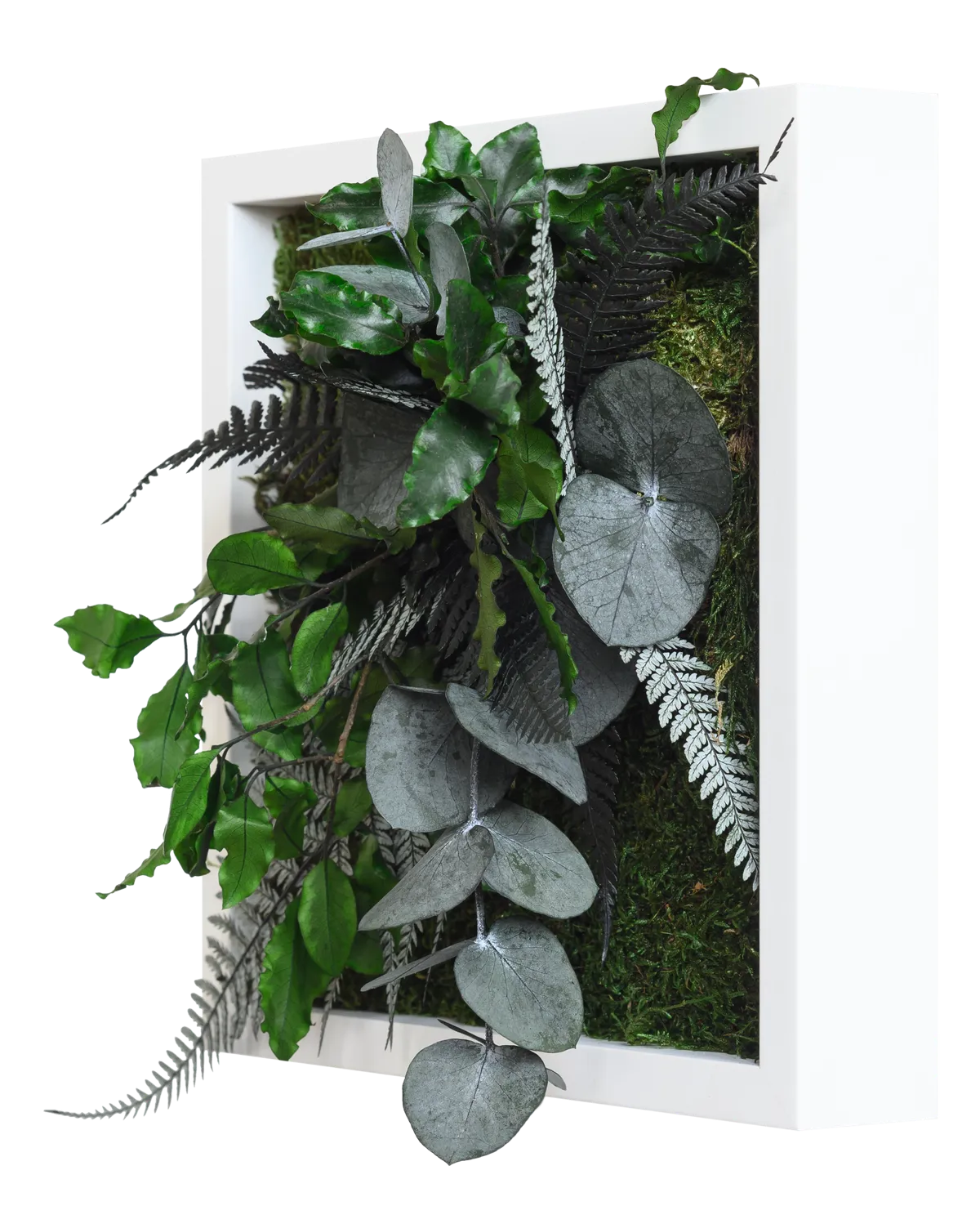 Jungle Square Plant and Moss Wall Art (22 cm)