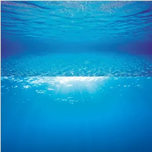 Juwel Large 100cm Blue Water Backround Poster