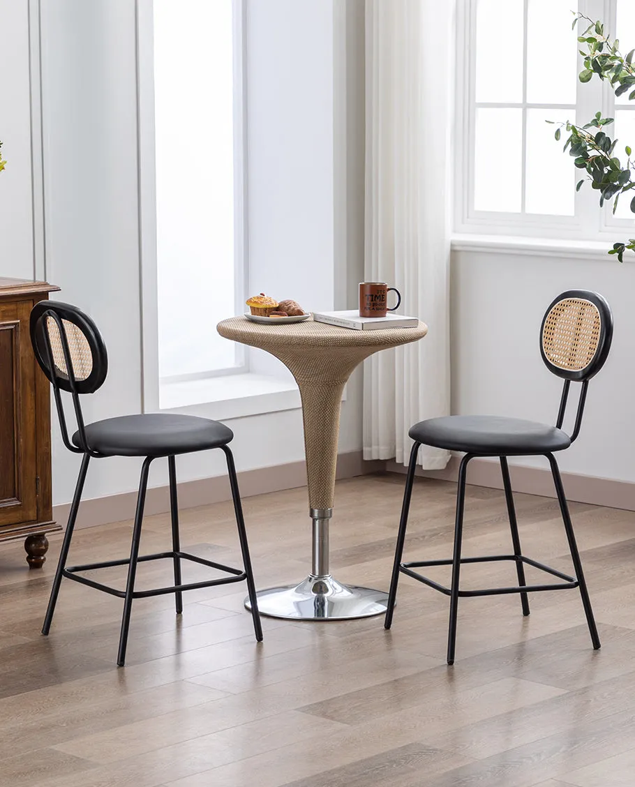 Kalamazoo Cane Back Counter Stools Set of 2