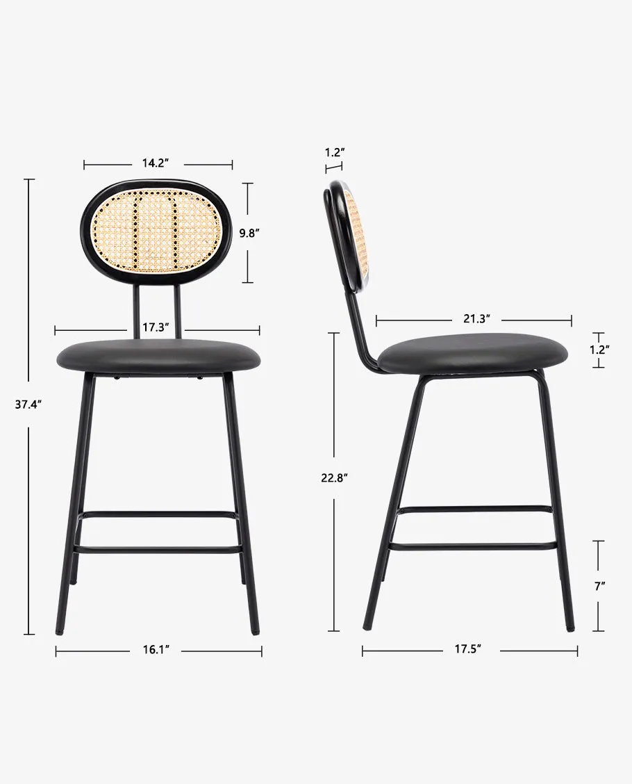 Kalamazoo Cane Back Counter Stools Set of 2