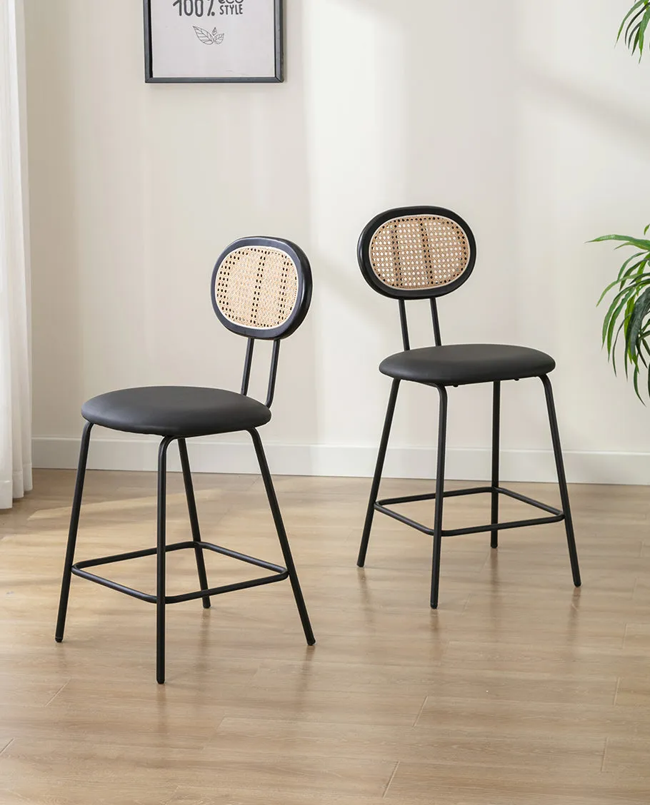 Kalamazoo Cane Back Counter Stools Set of 2