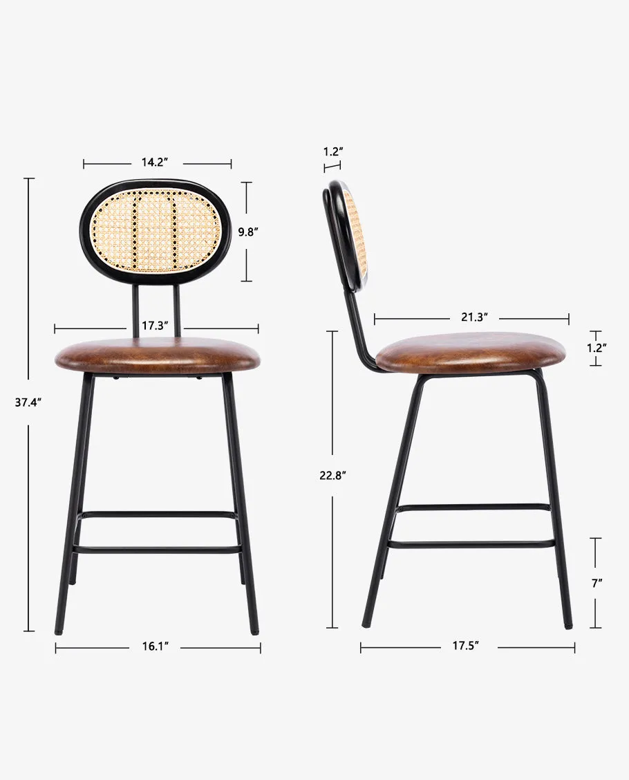 Kalamazoo Cane Back Counter Stools Set of 2