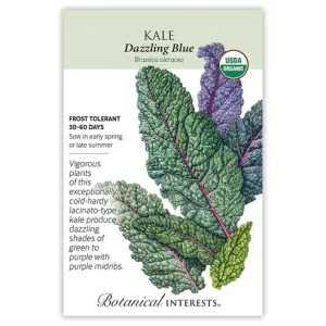 Kale Dazzling Blue Org Seed Pkt