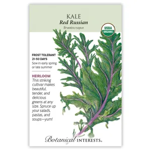 Kale Red Russian Org Seed Pkt