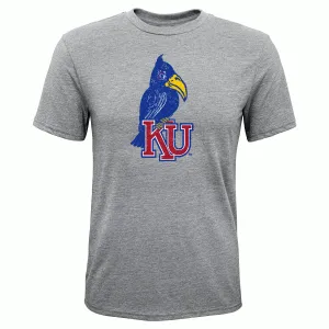 Kansas Jayhawks Youth Gray Shirts