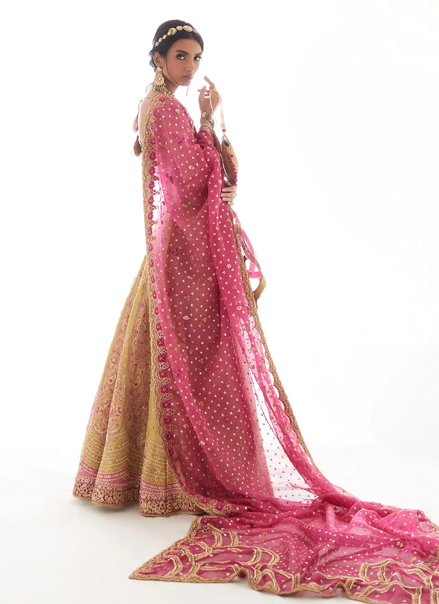 KEIERRA RAJASTHANI LENGHA CHOLI