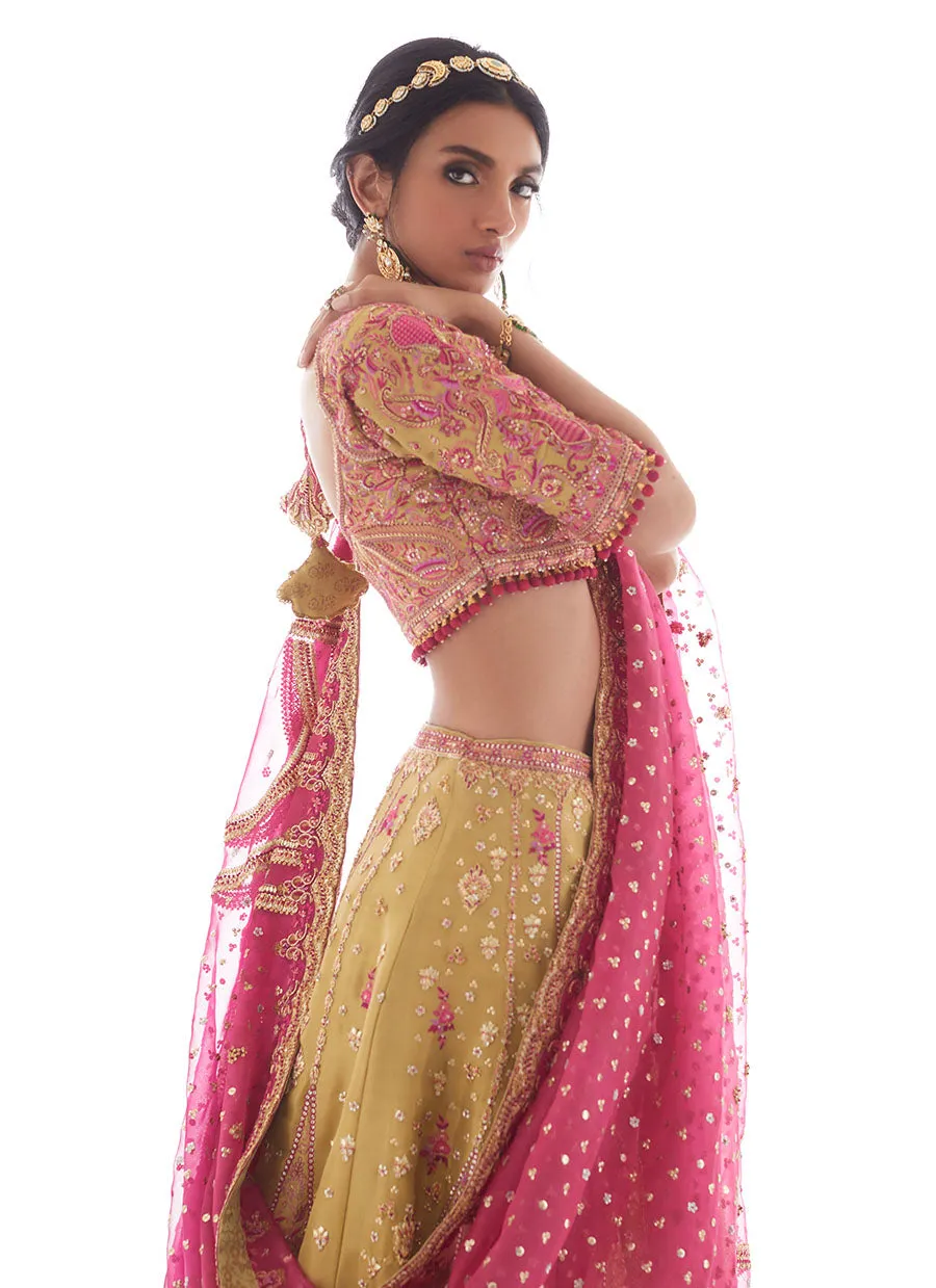 KEIERRA RAJASTHANI LENGHA CHOLI