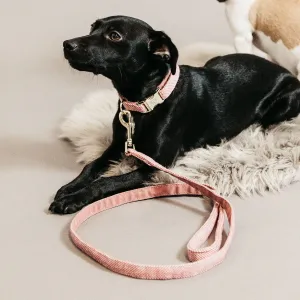 Kentucky Dogwear Wool Dog Lead - Light Pink