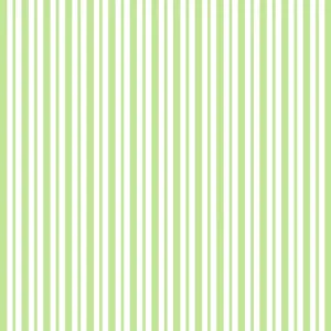 Kimberbell Basics Mini Awning Stripe Green - Maywood Studio