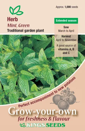 Kings Seeds Herb Mint Green Seeds