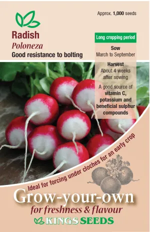 Kings Seeds Radish Poloneza Seeds