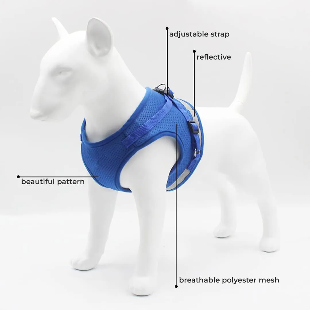 Kuber Industries Reflective Dog Harness with Adjustable Leash|Breathable Polyester Mesh Fabric |Large Size|HT-844|Comfortable No-Pull Grip|Quick Release Buckles|Easy On-Off Harness|Blue (Pack of 4)