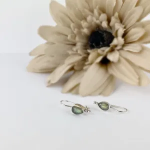 Labradorite Rain Earrings - SE2759