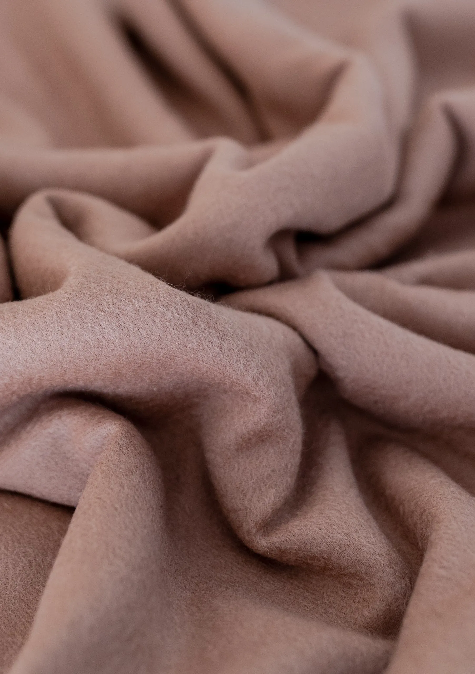 Lambswool Oversized Scarf in Blush