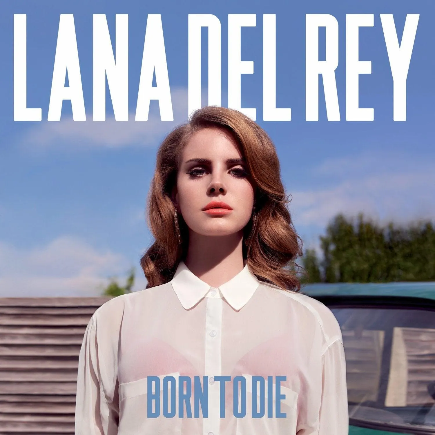 Lana Del Rey Born To Die (Vinyl) Album