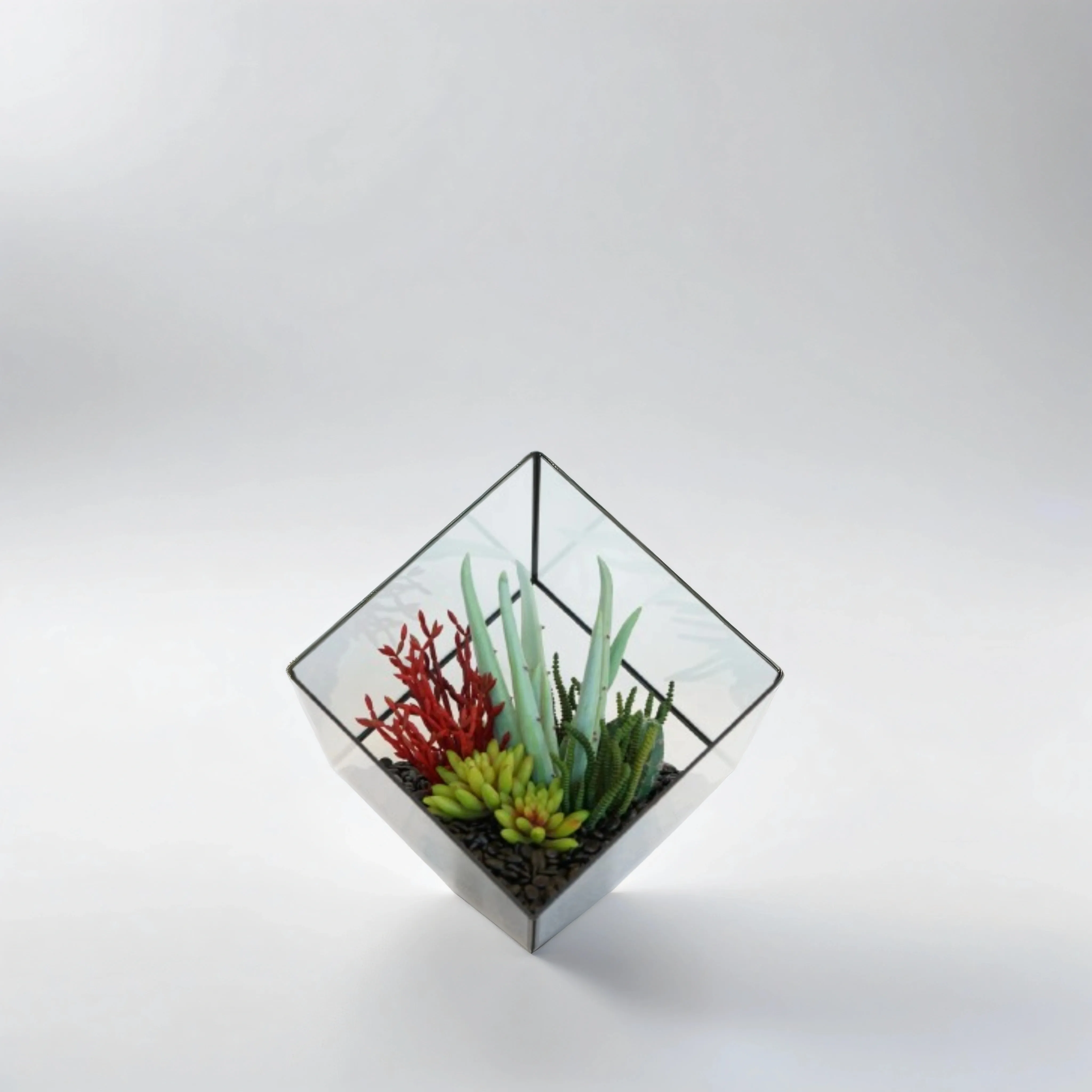 Large Black Berkley Terrarium Arrangement