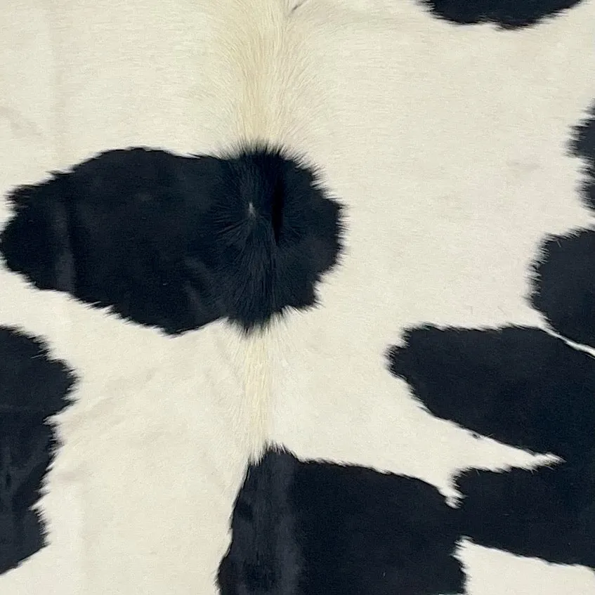 Large Off-White and Black Brazilian Cowhide - 7'9" x 5'11" (BRBKW262)