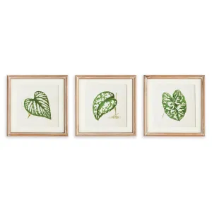 LEAF CUTTINGS PETITE PRINTS, SET OF 3 BY NAPA HOME & GARDEN