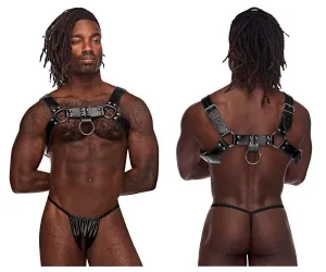 Leather Aries Harness