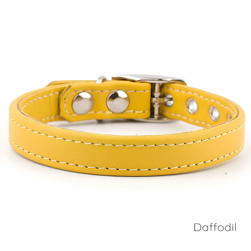 Leather Puppy Collars by Petiquette