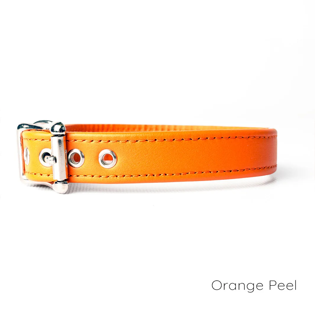 Leather Puppy Collars by Petiquette