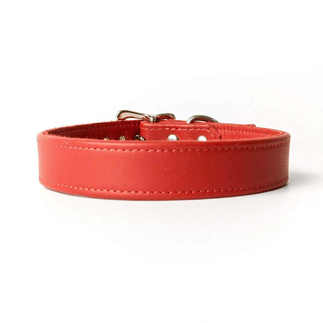 Leather Puppy Collars by Petiquette