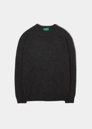 Lenzie Men's  Lambswool Jumper In Charcoal - Regular Fit