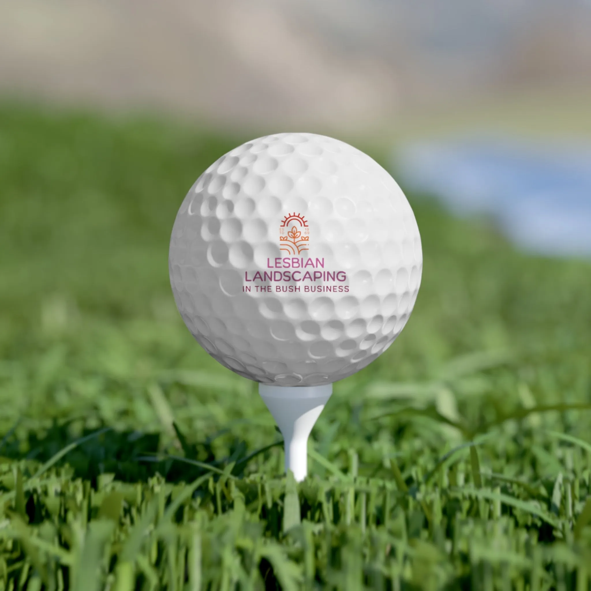 LESBIAN LANDSCAPING - IN THE BUSH BUSINESS | Golf Balls 6pcs Set Lesbian Funny