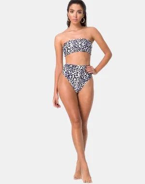 Lien Bikini Bottom in Dalmatian