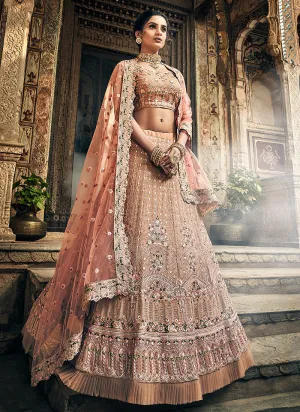 Light Brown Multi Embroidered Wedding Lehenga Choli