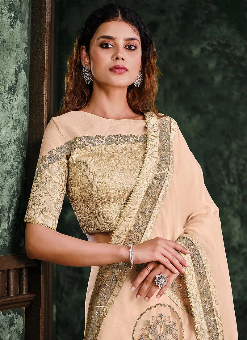 Light Peach Multi Embroidered Designer Saree