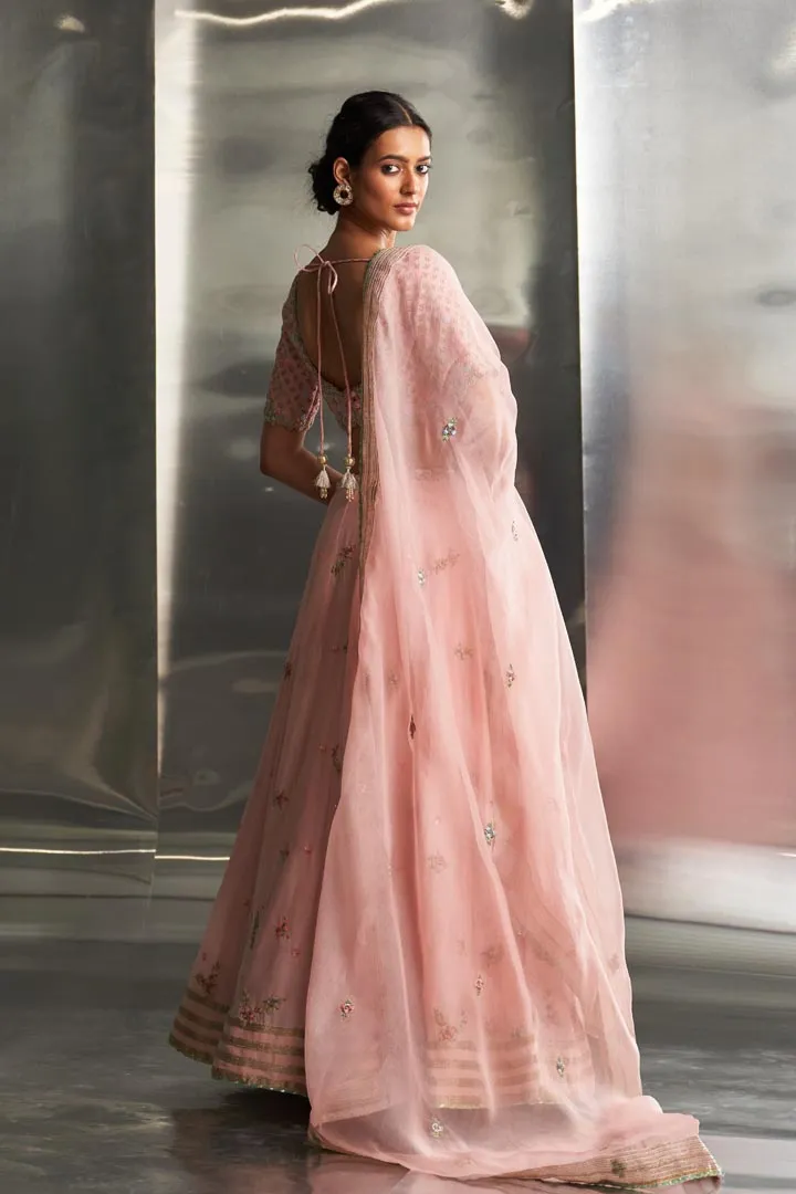 Light Pink Embroidered Lehenga