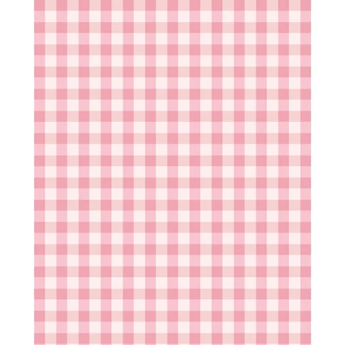 Light Pink Plaid Printed Backdrop