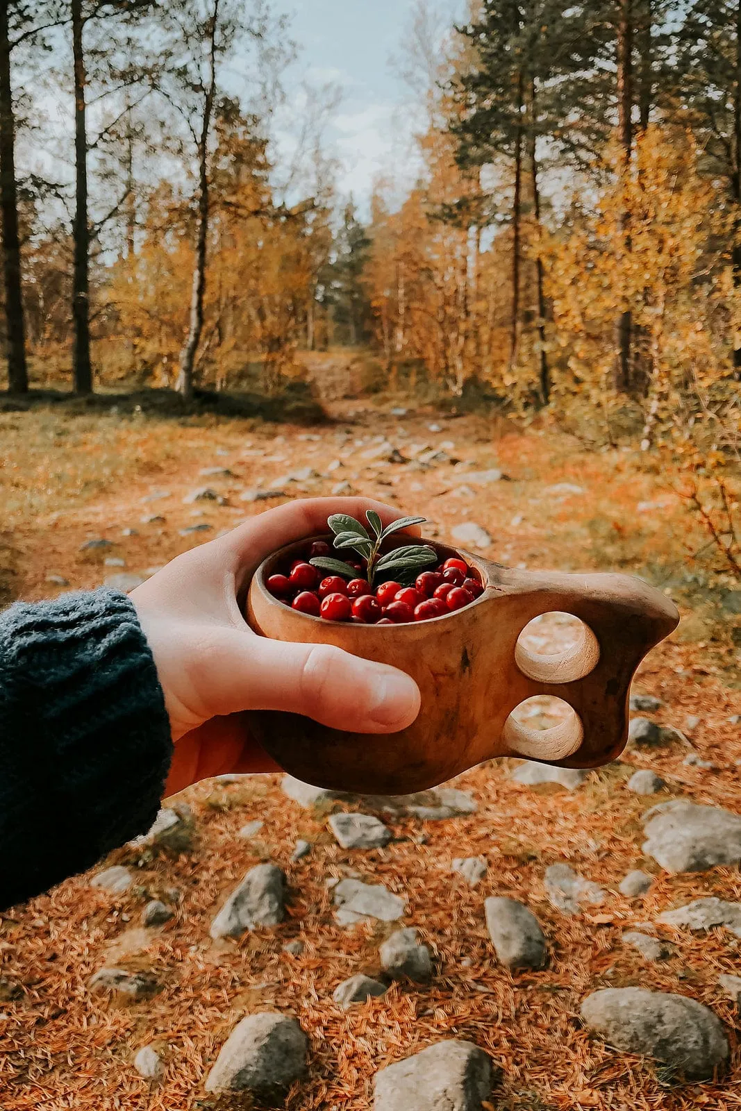 Lingonberry Red Lettlopi Wool Sweater - Knitting kit