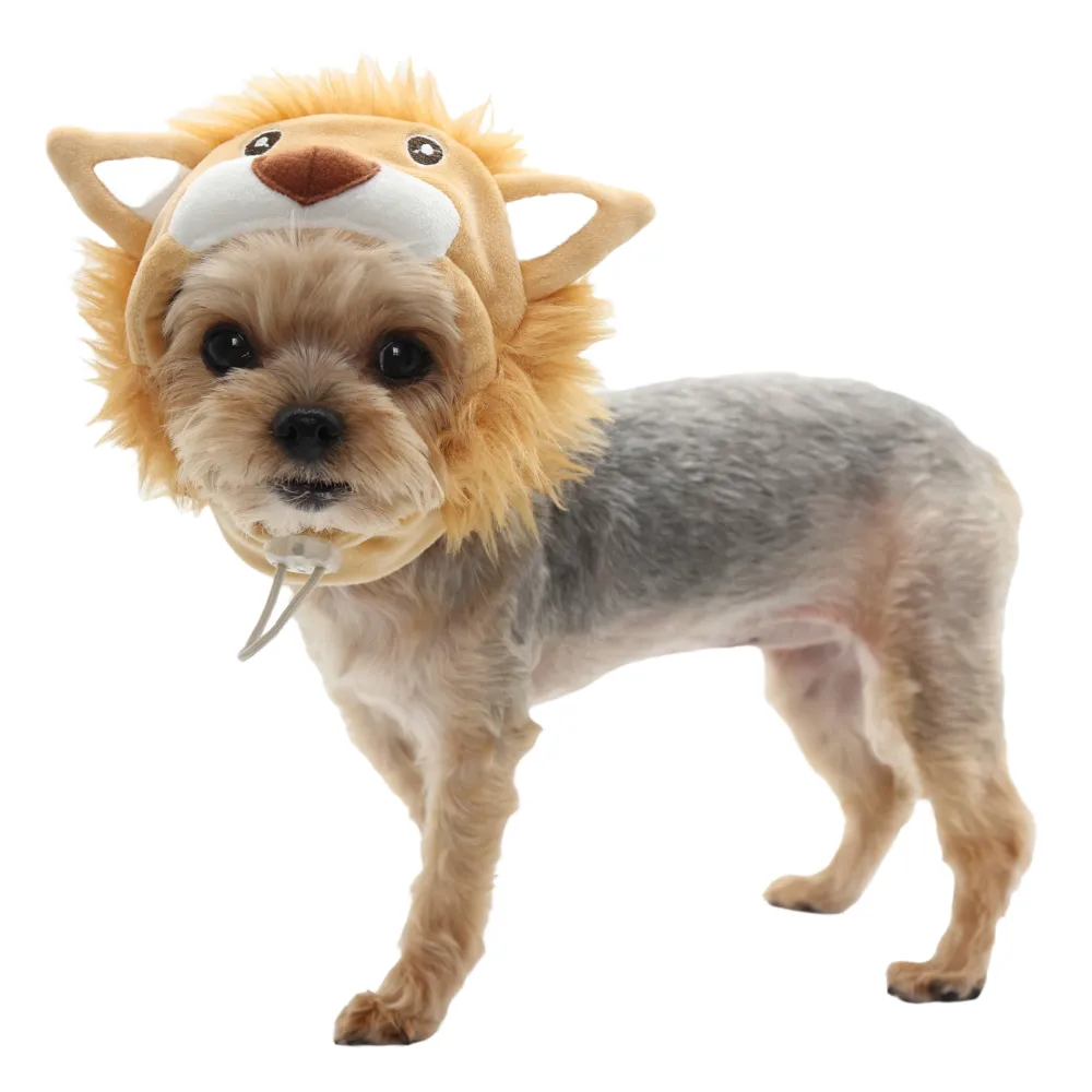 Lion Hat