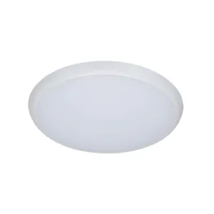 Liper LED Surface Light 30W Warm White IP65