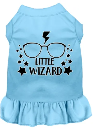 Little Wizard Screen Print Dog Dress Baby Blue Xs (8)