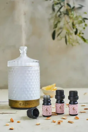 Live Calm Oil Set