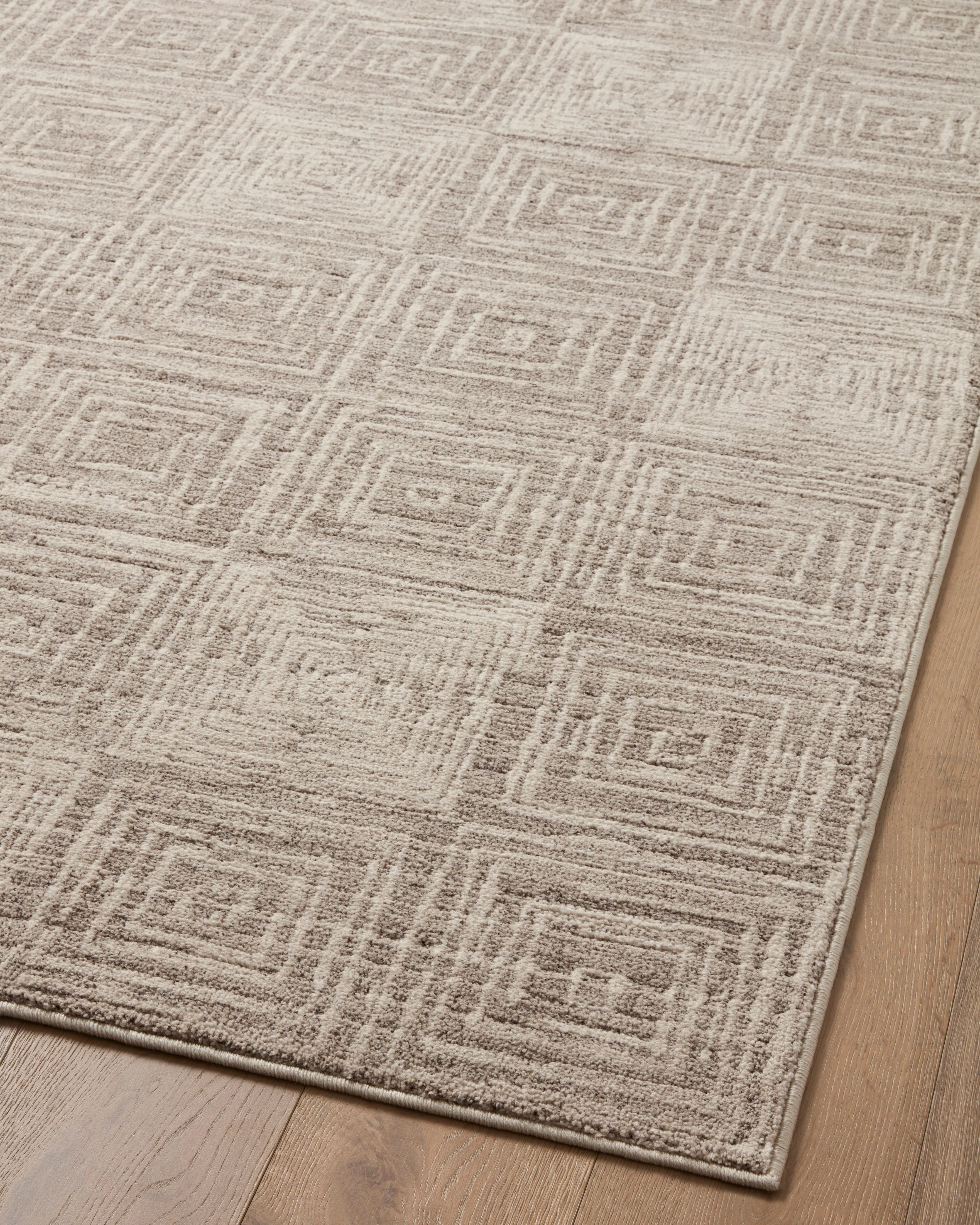 Loloi Darby Beige / Grey Rug