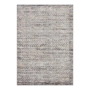 Loloi Monroe Grey / Multi Rug