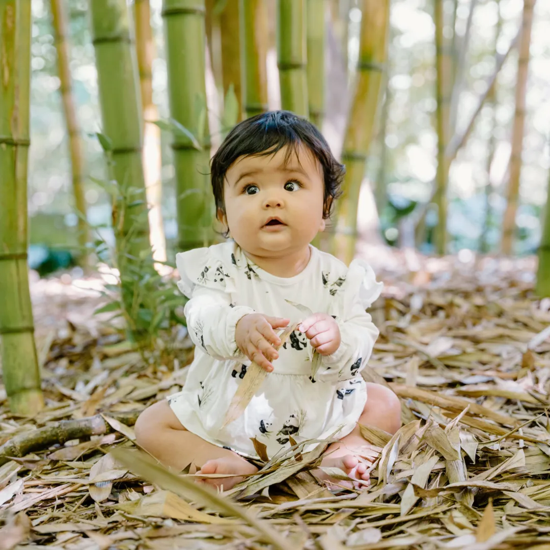 Long Sleeves Skirted Onesie - Panda